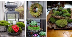 Herbstdekoration aus Moos – werden auch Sie kreativ!