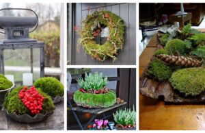 Herbstdekoration aus Moos – werden auch Sie kreativ!