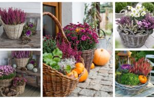 Verwandeln Sie Weidenkörbe in eine tolle Herbstdekoration: 25+ Ideen, die Sie sicher lieben werden!
