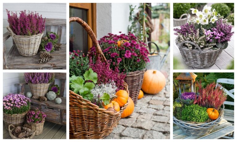 Verwandeln Sie Weidenkörbe in eine tolle Herbstdekoration: 25+ Ideen, die Sie sicher lieben werden!