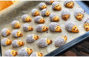 Igel – Weihnachtssüßigkeiten
