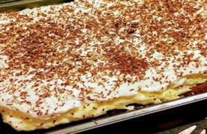Cremiges Vanille-Dessert mit Kakaopulver: Ein Lieblingsdessert bei uns zu Hause!
