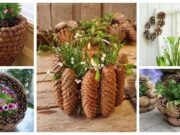 Mit einfachen Tannenzapfen schöne Frühlingsdekorationen basteln – Inspiration