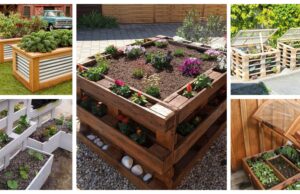 Sehen Sie, wie Sie auf kreative Weise Obst und Gemüse im Garten anbauen können