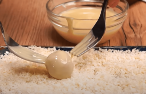 Bereiten Sie diese tollen und günstigen Kokosnussbällchen zu!