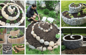 Bereiten Sie sich rechtzeitig auf die kommende Gartensaison vor: 20+ schöne spiralförmige Steingärten!