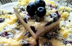 Zarter Butterkuchen mit Quark, Heidelbeeren und klassischer Streusel Butterkuchen mit Quark und Heidelbeeren – hausgemachter Blechkuchen