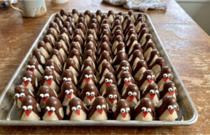 Kokospinguine: Verspieltes, ungebackenes Weihnachtsgebäck aus Bienenstockförmchen Kokospinguine – ungebackenes Weihnachtsgebäck aus Kokos und Schokolade