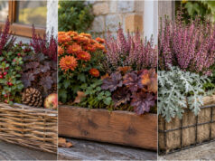 Verstecken Sie die Balkonkästen nach den Geranien nicht: 20 herbstliche Ideen, die Fensterbank und Balkon zum Leuchten bringen Herbstlicher Balkonkasten mit Heidekraut, Kürbis und Efeu
