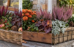 Verstecken Sie die Balkonkästen nach den Geranien nicht: 20 herbstliche Ideen, die Fensterbank und Balkon zum Leuchten bringen Herbstlicher Balkonkasten mit Heidekraut, Kürbis und Efeu