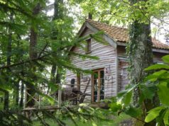 Rustikale Hütte umgeben von Birken, Eschen und Eichen – wie geschaffen zur Erholung Rustikale Hütte umgeben von Birken, Eschen und Eichen