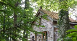 Rustikale Hütte umgeben von Birken, Eschen und Eichen – wie geschaffen zur Erholung Rustikale Hütte umgeben von Birken, Eschen und Eichen
