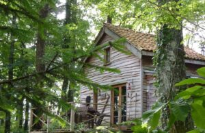 Rustikale Hütte umgeben von Birken, Eschen und Eichen – wie geschaffen zur Erholung Rustikale Hütte umgeben von Birken, Eschen und Eichen