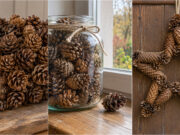Sparen Sie an Herbstdekorationen: 20 wunderschöne Ideen mit Zapfen, die Sie beim Spaziergang sammeln Herbstliche Zapfendeko im Glas