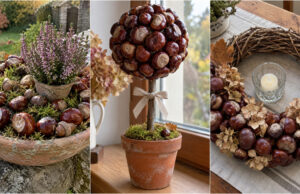 Haben Sie Kastanien gesammelt? 20 Ideen für herbstliche Dekorationen, die Tisch, Fensterbank und Tür verschönern Kastanien-Girlande als herbstliche Tischdekoration